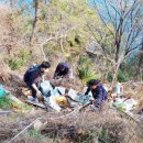 욕지면사무소 이미지