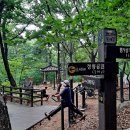 2026.8.15(토) 주말 걷기, 청량산 숲으로~/ 남이님 진행 이미지
