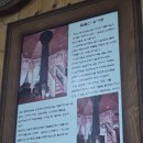 숲속의 둥지 | 영암 월출산 맛집 숲속의산새둥지