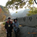 수도녹색숲모티길 이미지