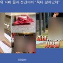 김해중앙여자중학교 네이버블로그