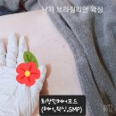 최창민헤어모드