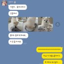 뽑아지트 | 5월은 어른의 날 우리들 세상