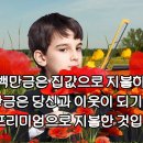 납세정의신문 이미지