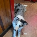 장자호수공원 광장 (정문) | 하이난 4박5일 여행 3일차: 이가식당, 로맨스 파크, 녹회두 공원, 장자고어