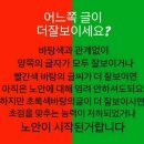 노안증상 이미지