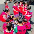 백호태권도장 이미지