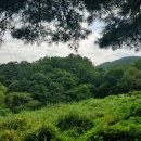 포항시남구30 이미지