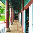 종로-연건-종로-연-390 | 서울 가볼만한곳 경복궁 별빛야행 초대 경복궁 후원 개방 관람