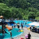 천동물놀이장 이미지