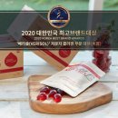 젤셀(JELLCELL)
