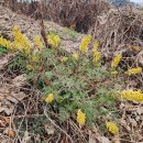 영식농장 이미지