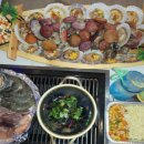 바다다조개다앤팝쿠아 이미지