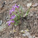 곡성-161 이미지