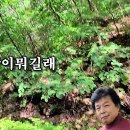 사랑이뭐길래/가수양승만-최영철노래,오산출신가수,경기도출신가수,흘러간노래,잊지못할노래,트로트,노래듣기,가요듣기 이미지