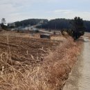 양덕2농장 이미지