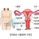 경부