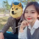 강남 팔자주름필러3cc+거미스마일 내돈내산 닥터케빈의원 후기(붓기&amp;가격)