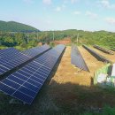 뿌리 태양광발전소 이미지