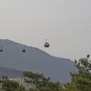 청풍이용