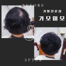 가모미모