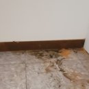 전주맥주 이미지