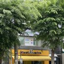 고기구워주는려자 이미지