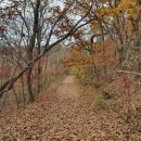 경기둘레길 김포59코스 이미지