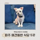 뿌띠펫 | 파주 애견동반 식당 맛집 추천 음식 종류별로 5곳 골라봤어요