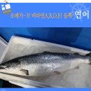바다나라 이미지