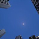 구름뜬하늘 | 3년만에 뜬 레드문(개기월식) 최대식이 되는 순간 구름이...