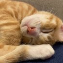 시지우리약국 이미지