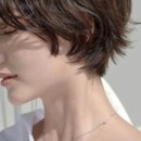 용산-146 이미지