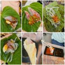 OK도매횟집 화명점 이미지