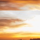 안중근로 이미지