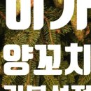 똥광노래타운 이미지