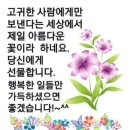 꽃보다좋은글 이미지