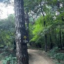 [서울/강서]개화산 초행인 사람의 좌충우돌 개화산 정상및 봉수대 가기/강서둘레길 1코스 (강서...