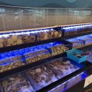 홍가떡 | 시흥 배곧 맛집, 해산물과 고기를 즐길 수 있는 &lt;조개구이 무한리필 시흥배곧점&gt; 후기