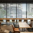 스테이이스트사이드 이미지