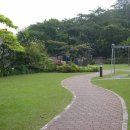 숲속의 향기 이미지