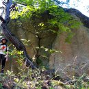 바위와소나무 이미지