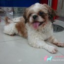 동글동글 이미지