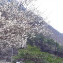 이유당