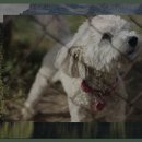 회동관광지 이미지