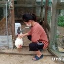 옥대초등학교 이미지