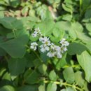 푸른꿈농장 이미지