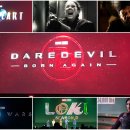 에코퓨리 이미지