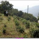 섬진농장 이미지