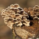 ES 헬스케어 이미지